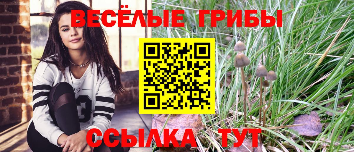 Белорецк  Псилоцибиновые грибы MAGIC MUSHROOMS  Вход с VPN  Псилоцибиновые грибы мухоморы 
